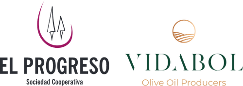 EL PROGRESO S COOP DE C-LM GRUPO VIDASOL