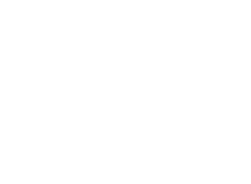 Ron Barcelo SRL